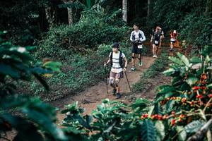 BIB: 
                            <button type="button" onclick="openModal(25834500)" class="btn btn-primary btn-sm float-right btn-popup" data-toggle="modal" data-target=".modal-high-quality">
                        <i class="fas fa-shopping-cart"></i> Add to Cart
                    </button>
                                            <button type="button" onclick="isThisMe(25834500, true)" class="btn btn-success btn-sm float-right btn-popup btn-isme hidden" data-toggle="tooltip" data-placement="bottom" title="นี่คือรูปของคุณใช่ไหม คลิกที่นี่เพื่อเอาเข้าอัลบั้ม">
                        <i class="fas fa-plus"></i> Add to album
                    </button>
                    <button type="button" onclick="isThisMe(25834500, false)" class="btn btn-warning btn-sm float-right btn-popup btn-isnotme hidden">
                        <i class="fas fa-ban"></i> Remove from album
                    </button>